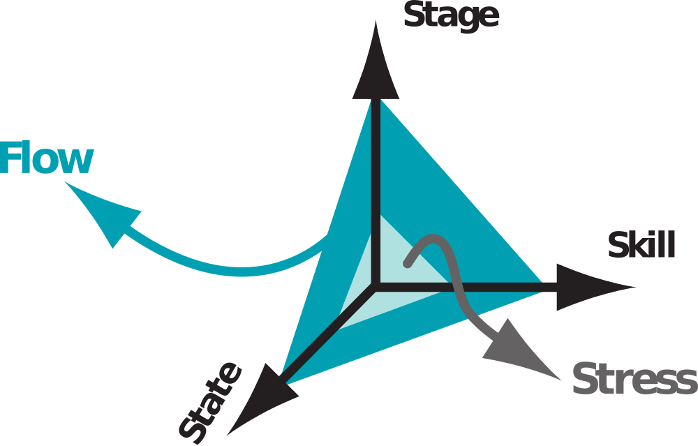 Leiderschapsontwikkeling executive coaching